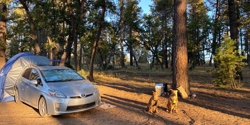 Camper submitted image from Fr 66