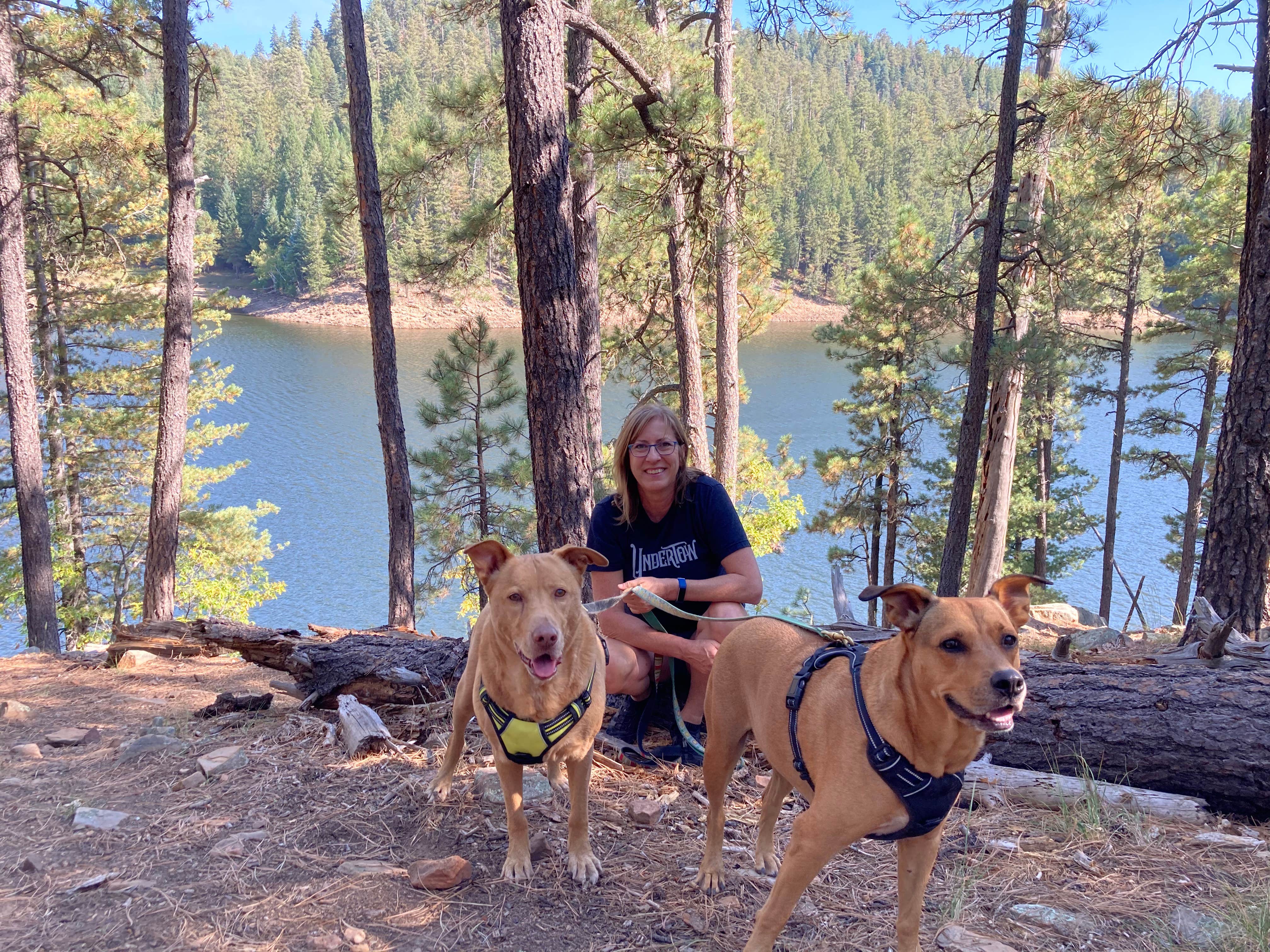 Debbie Z.'s photo of camping with pets at Fr 66 near Kohls Ranch, AZ