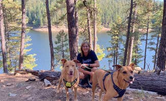 Debbie Z.'s photo of camping with pets at Fr 66 near Forest Lakes, AZ