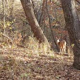 Review photo of Platte River State Park Campground by Jared J., January 4, 2021