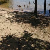 Review photo of Kerr Lake State Recreation Area Henderson Point by Tanya D., May 27, 2018