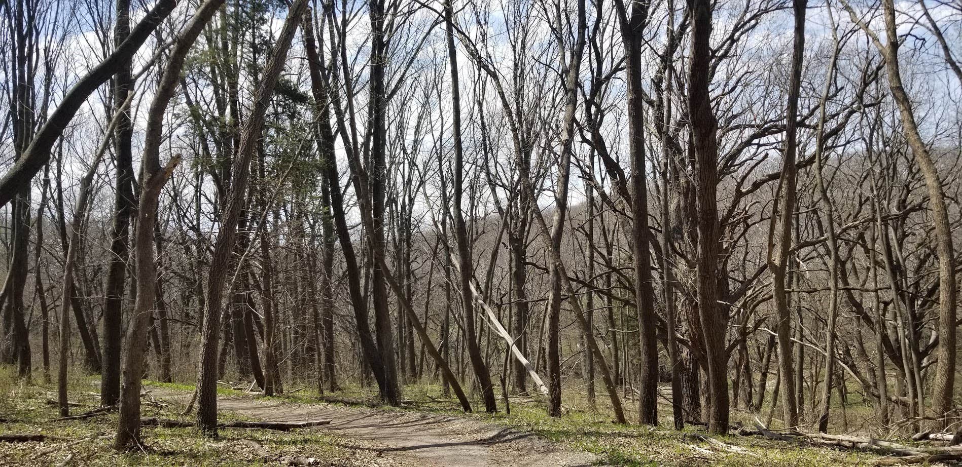 Camper submitted image from Platte River State Park Campground - 1