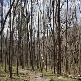 Platte River State Park Campground