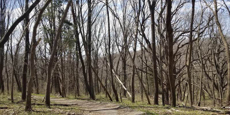 Camper submitted image from Platte River State Park Campground