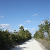 Review photo of Midway Campground — Big Cypress National Preserve by Kevin & Amy A., January 4, 2021