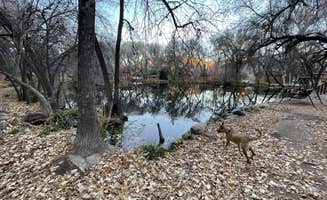 Kate W.'s photo of camping with pets at Lo Lo Mai Springs Resort near Coconino National Forest Recreation