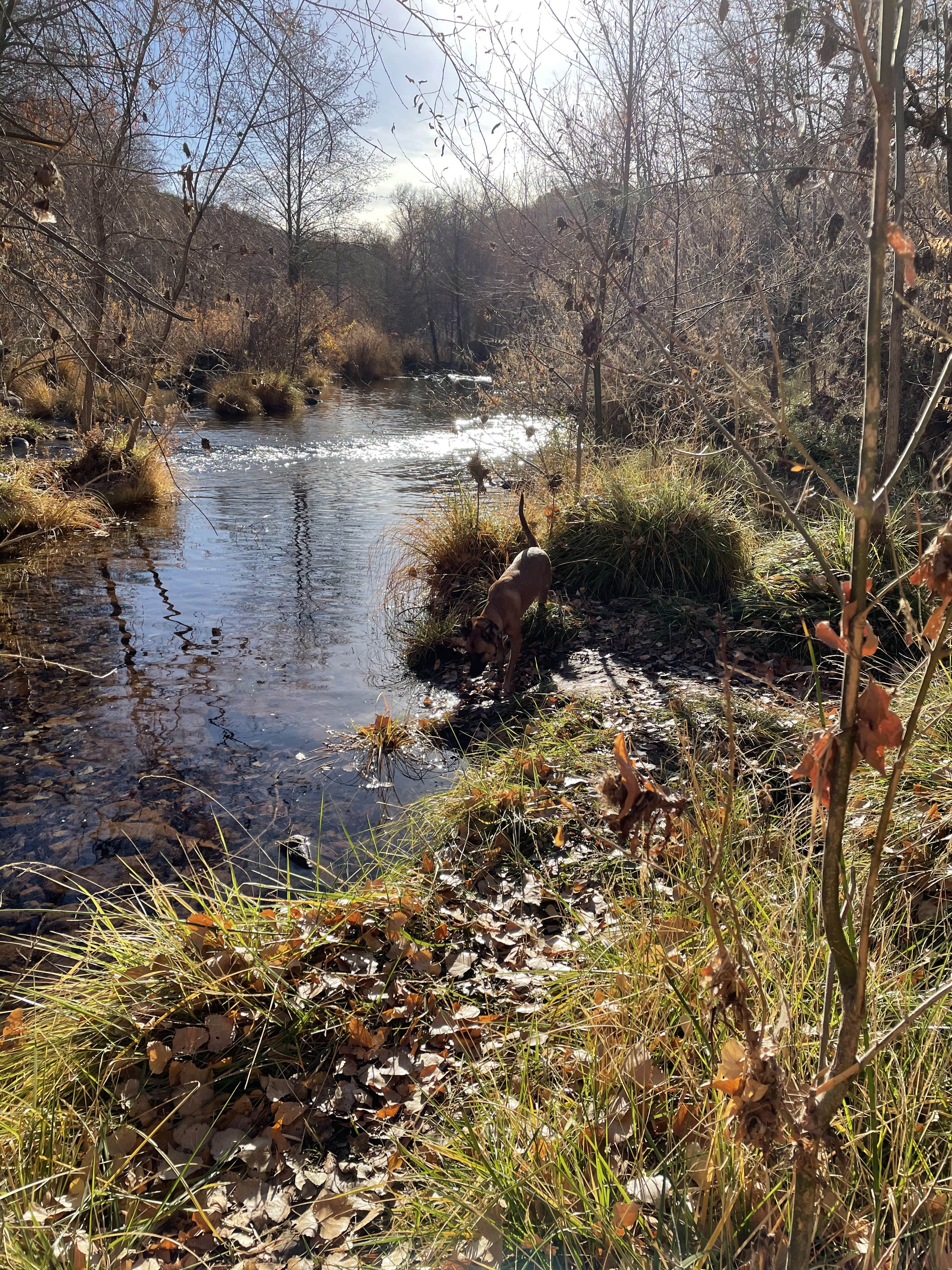 Camper-submitted photo at Lo Lo Mai Springs Resort near Cottonwood, AZ