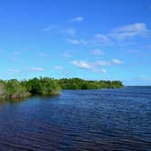 Review photo of Long Pine Key Campground — Everglades National Park by Kevin A., January 4, 2021