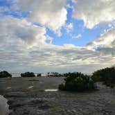 Review photo of Long Pine Key Campground — Everglades National Park by Kevin & Amy A., January 4, 2021