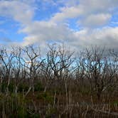 Review photo of Long Pine Key Campground — Everglades National Park by Kevin A., January 4, 2021