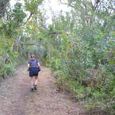 Review photo of Long Pine Key Campground — Everglades National Park by Kevin A., January 4, 2021