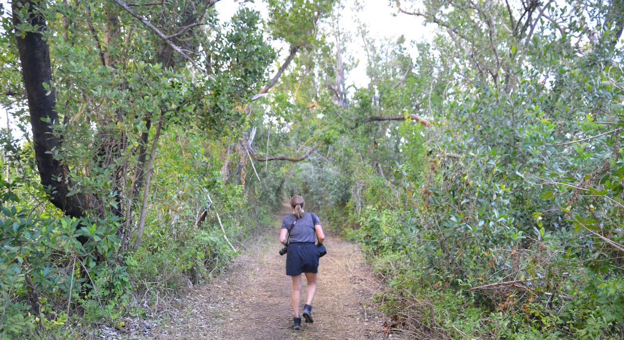 Woman hiking near Long Pine Key Campground in Everglades National Park