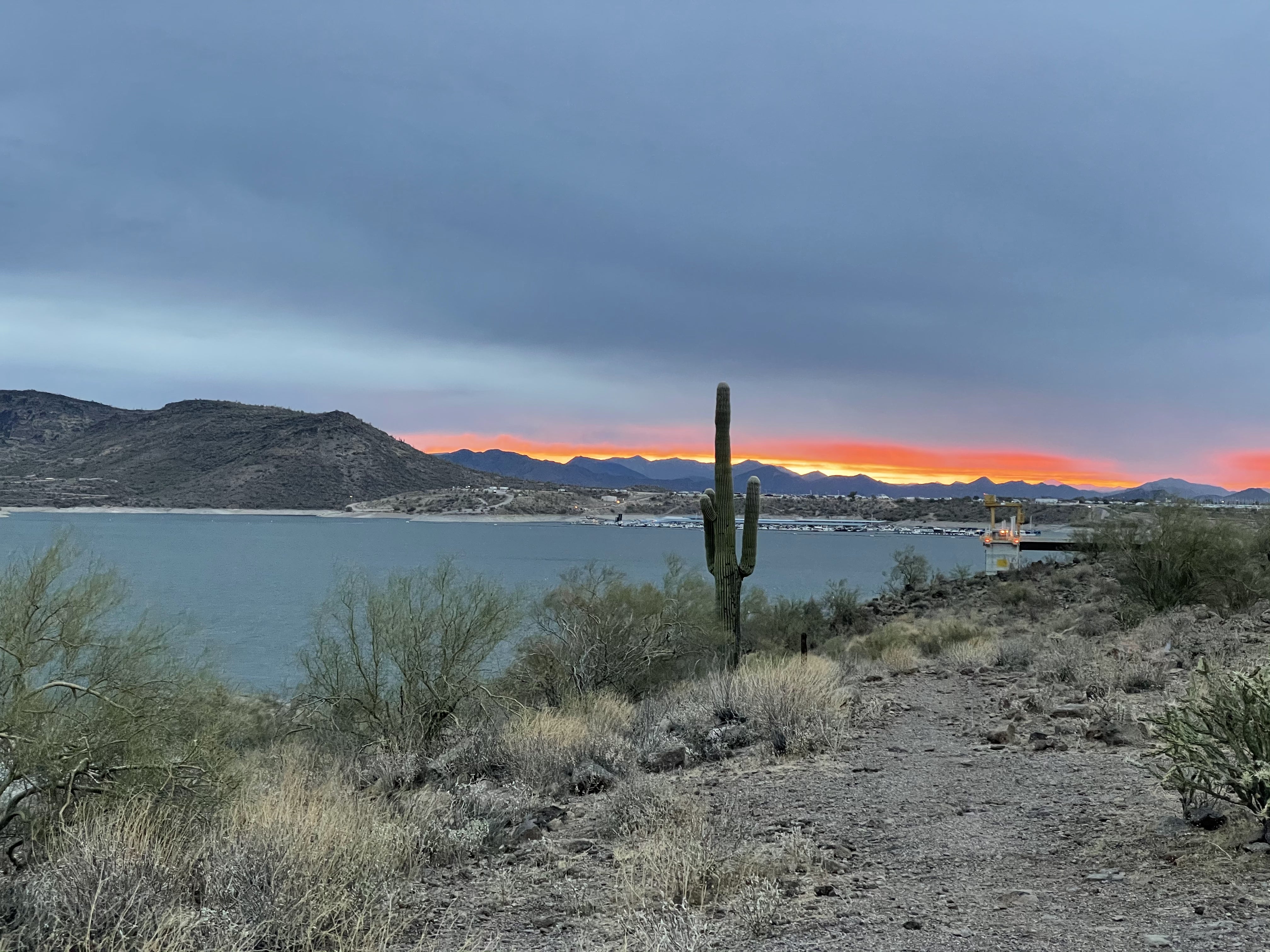 Camper submitted image from Lake Pleasant Regional Park Campground - 1