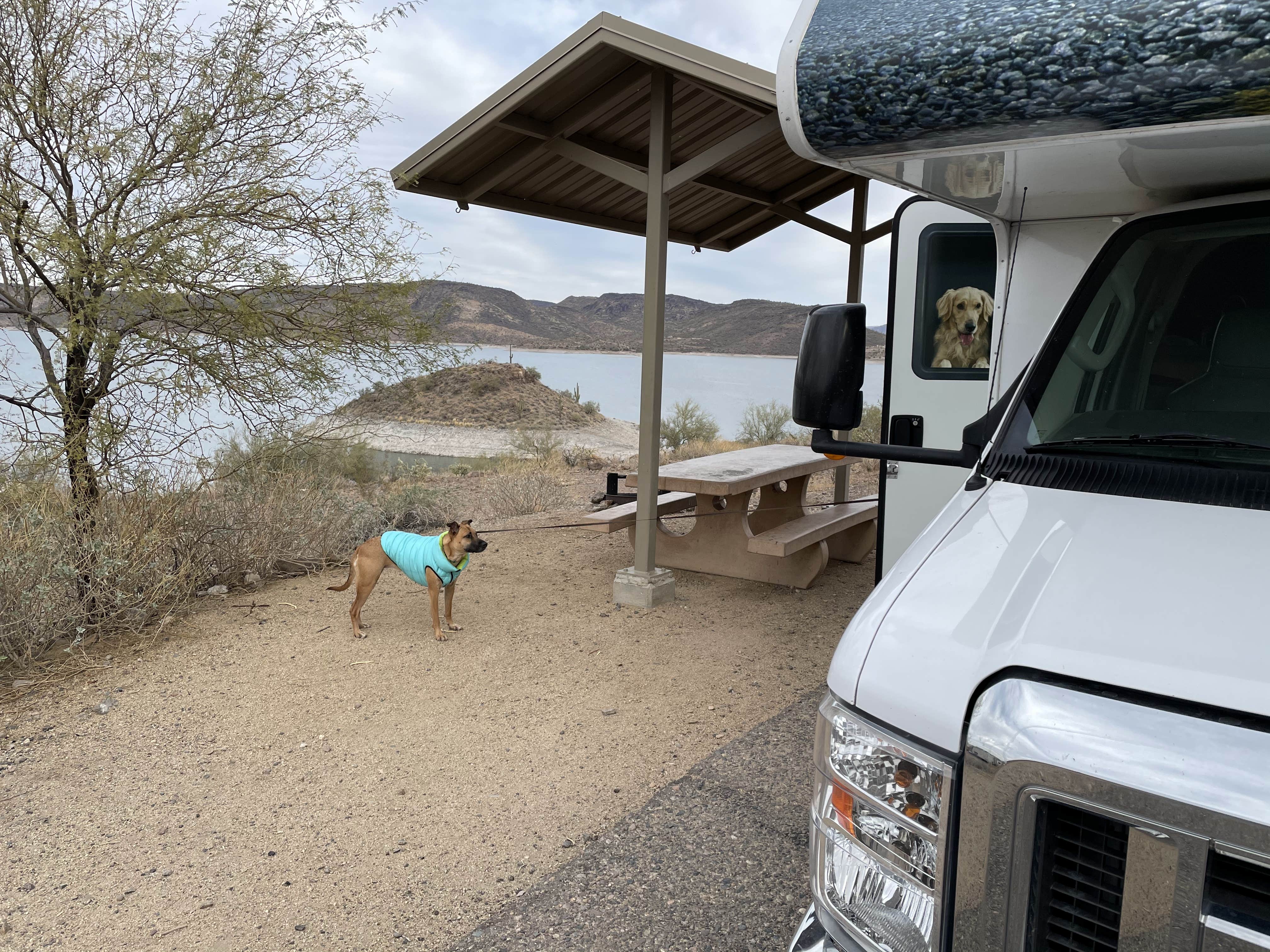 Camper-submitted photo at Lake Pleasant Regional Park Campground in Arizona