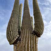 Review photo of Maricopa County Park Lake Pleasant by Kate W., January 4, 2021