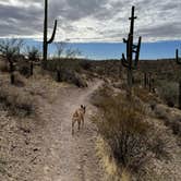 Review photo of Maricopa County Park Lake Pleasant by Kate W., January 4, 2021