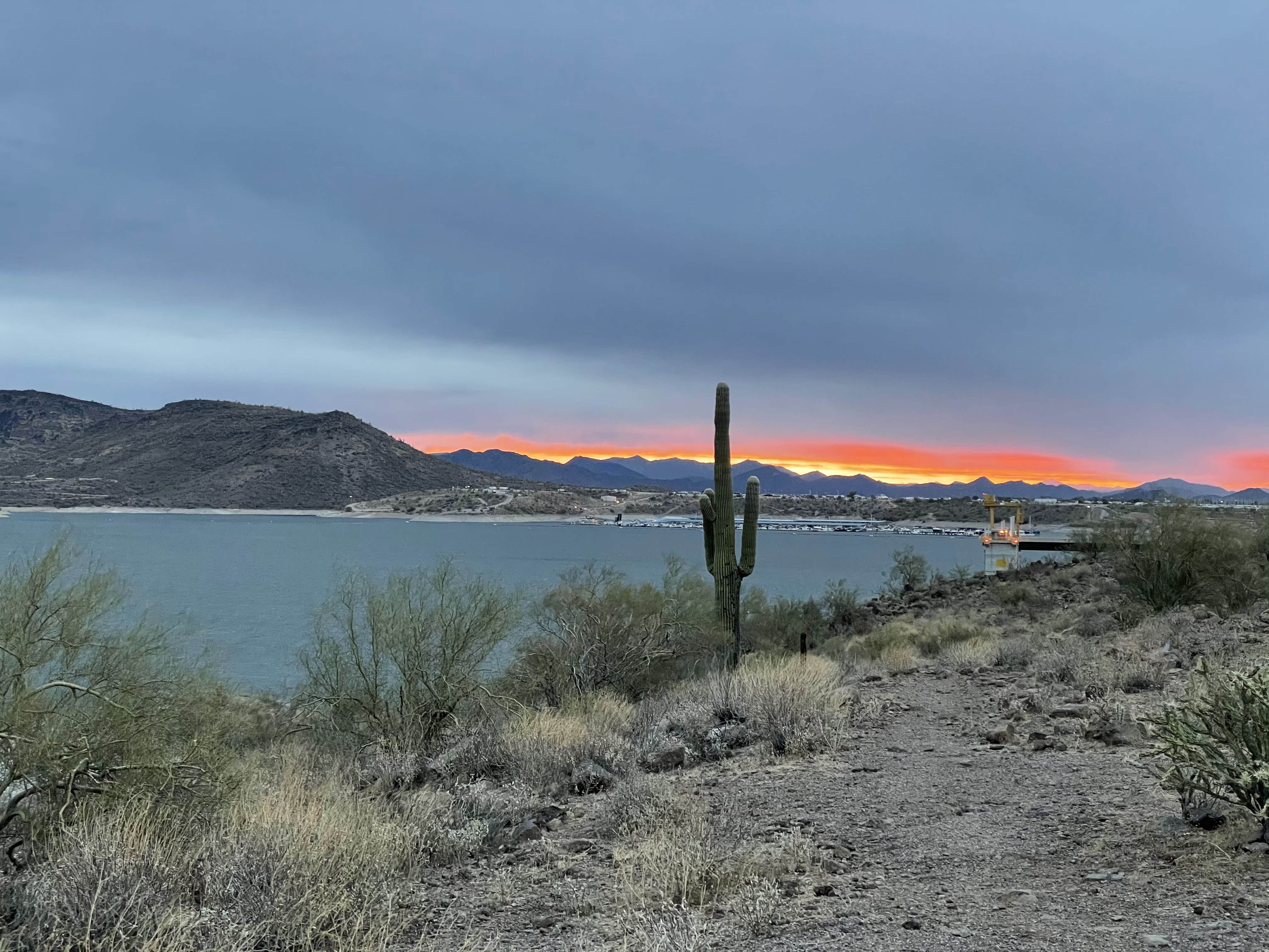 Camper submitted image from Maricopa County Park Lake Pleasant - 1