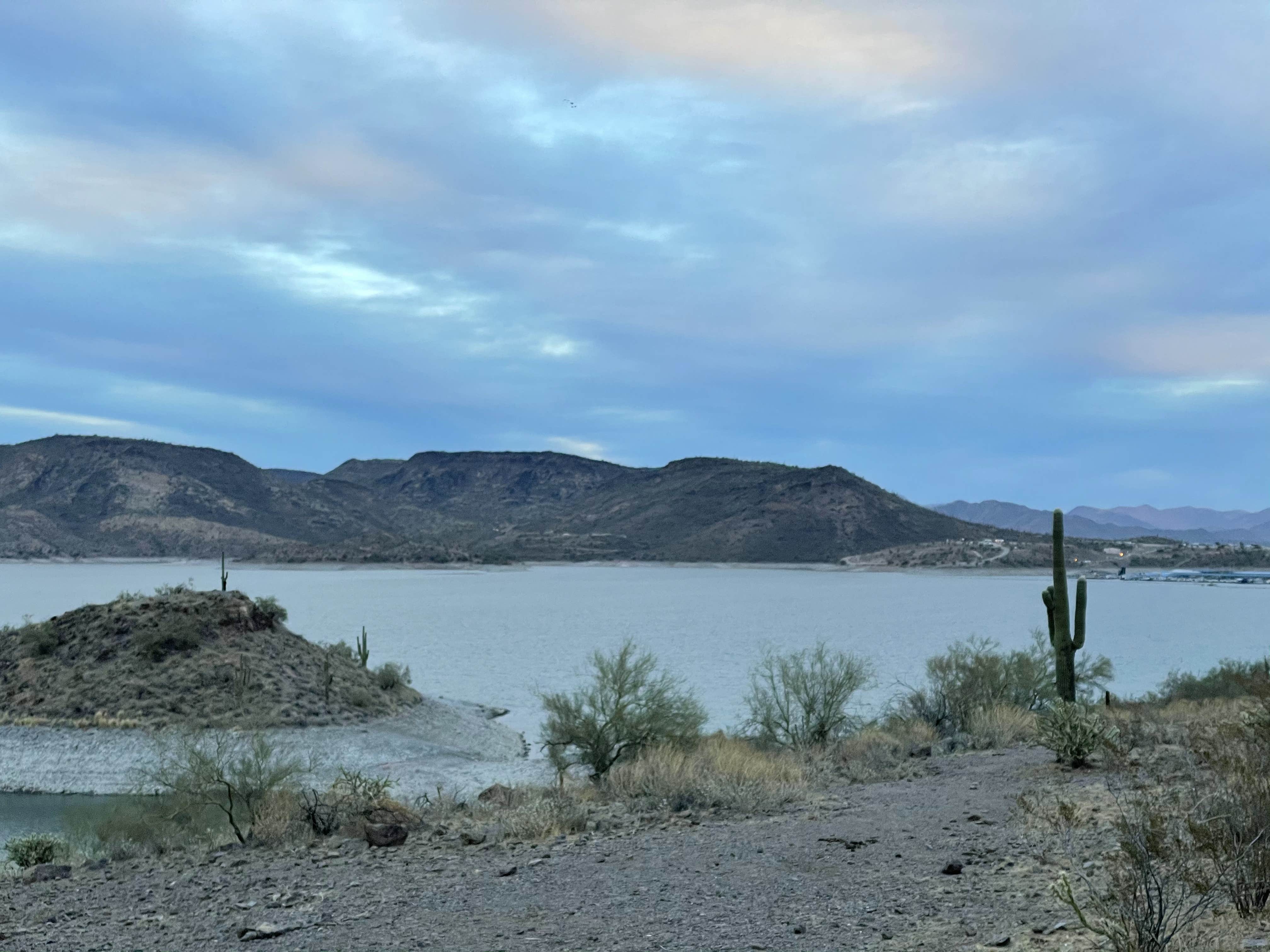 Camper submitted image from Maricopa County Park Lake Pleasant - 4