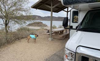 Kate W.'s photo of camping with pets at Maricopa County Park Lake Pleasant near Litchfield Park, AZ