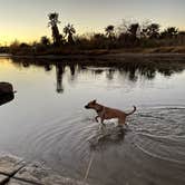 Review photo of Arizona Oasis RV Resort by Kate W., January 4, 2021