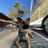 Review photo of Arizona Oasis RV Resort by Kate W., January 4, 2021