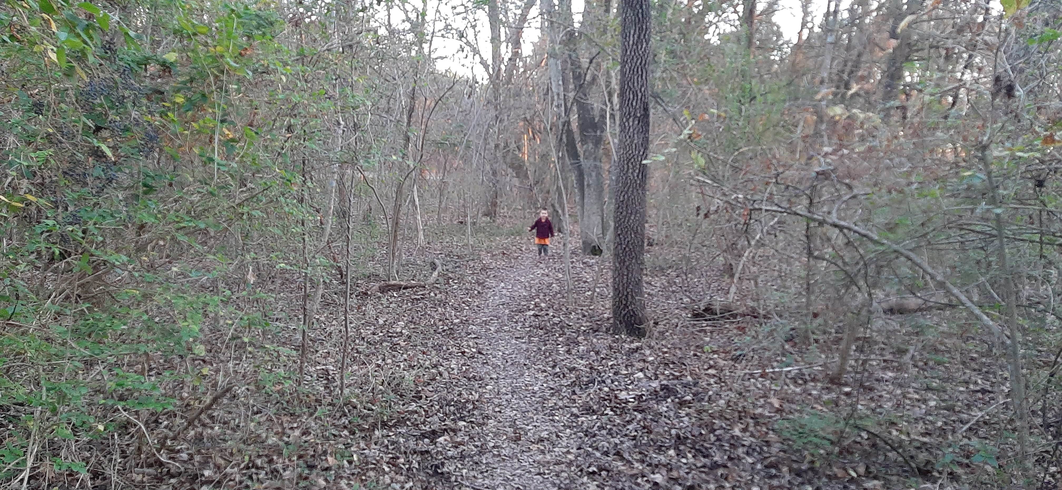 Camper-submitted photo at Lake Bonham Recreation Area near Arthur City, TX