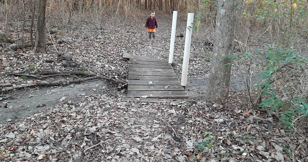 5 Mile Camp photo 5