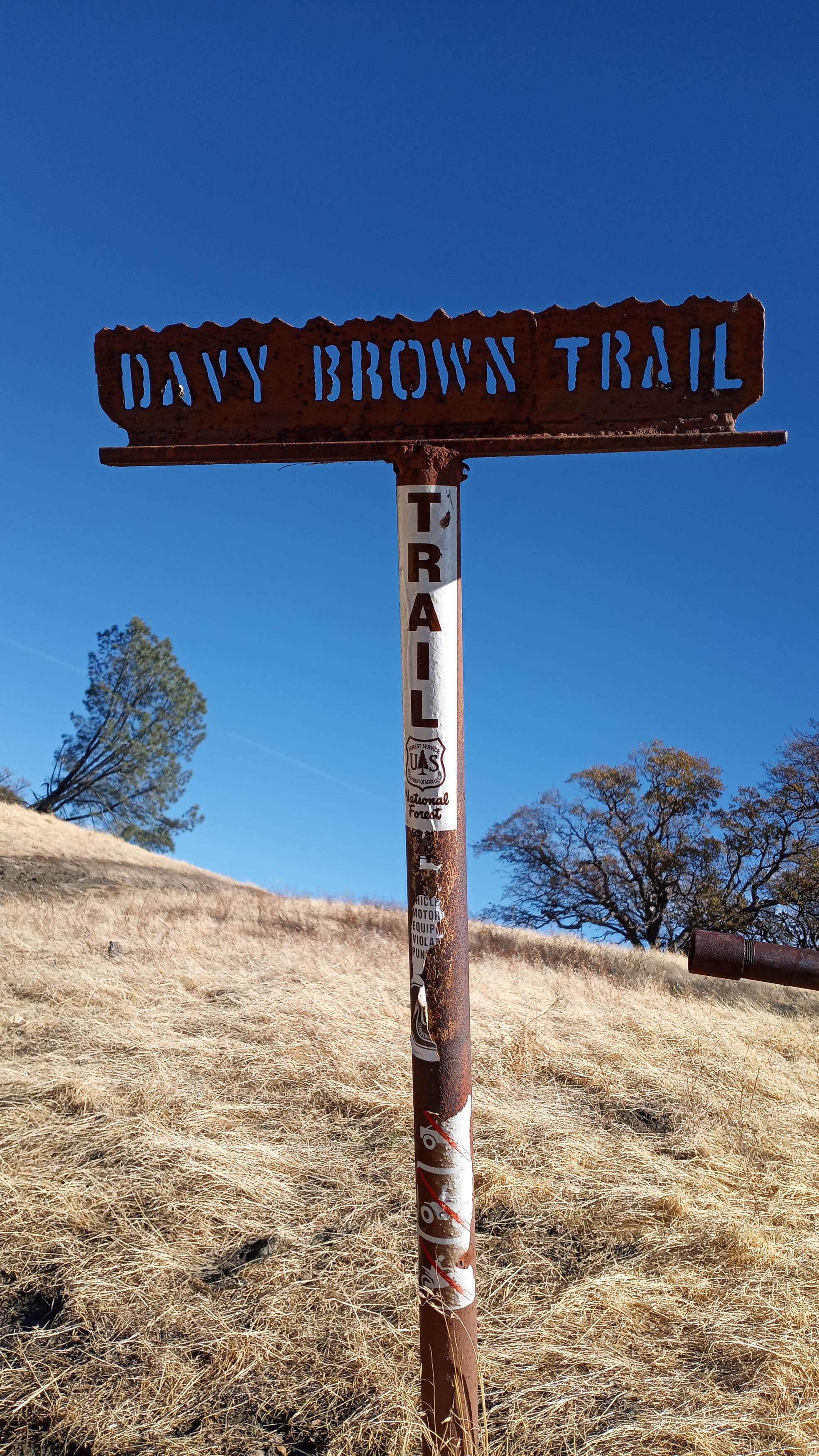 Davy Brown Campground The Dyrt