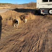 Review photo of West Sedona Designated Dispersed Camping by Melissa S., January 5, 2021