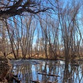 Review photo of Dead Horse Ranch State Park Campground by Melissa S., January 5, 2021