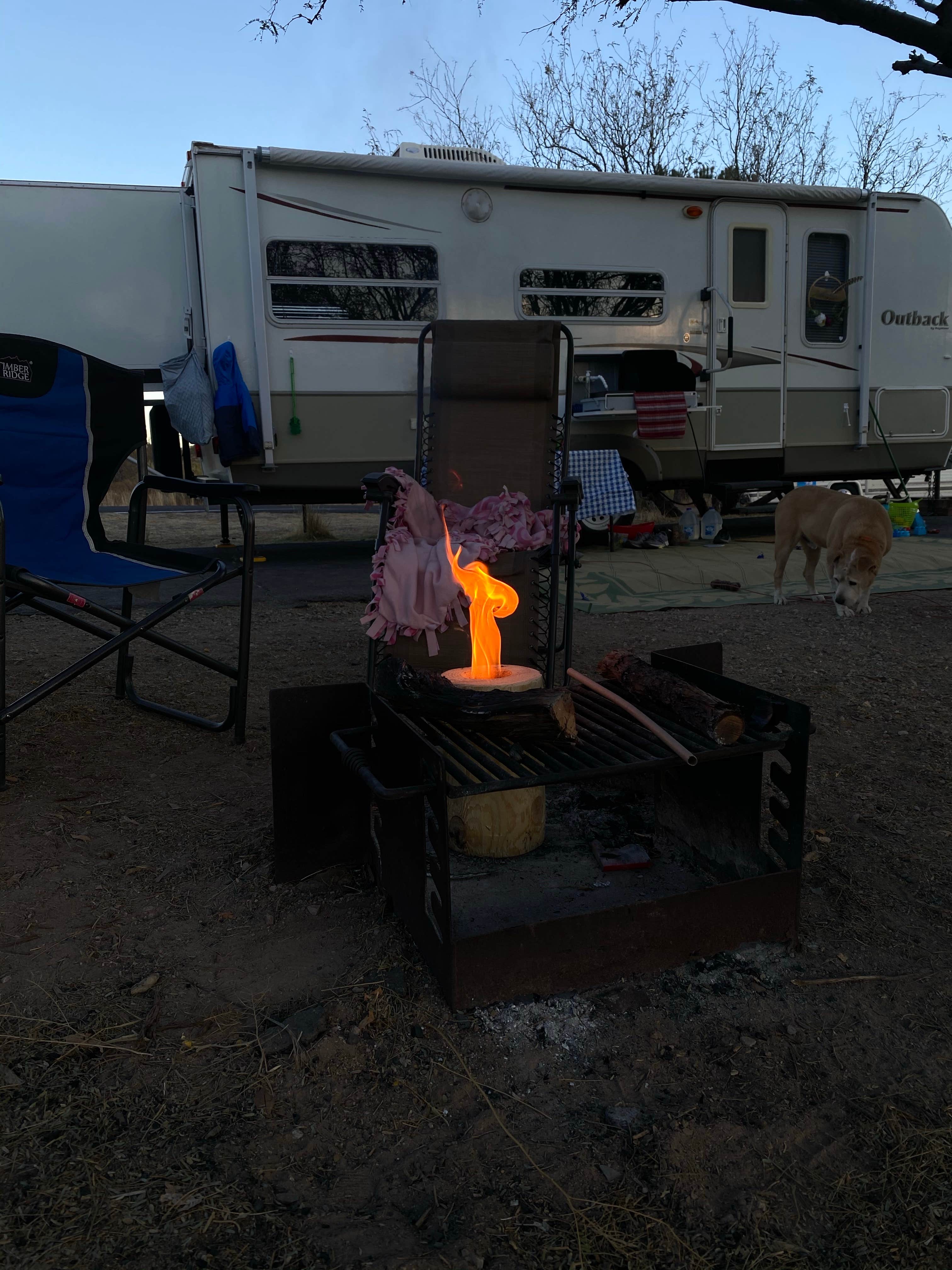 Melissa S.'s photo at Dead Horse Ranch State Park Campground near Cornville, AZ