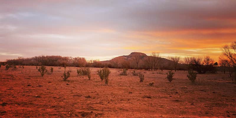 Camper submitted image from Blaze-In-Saddle RV Park