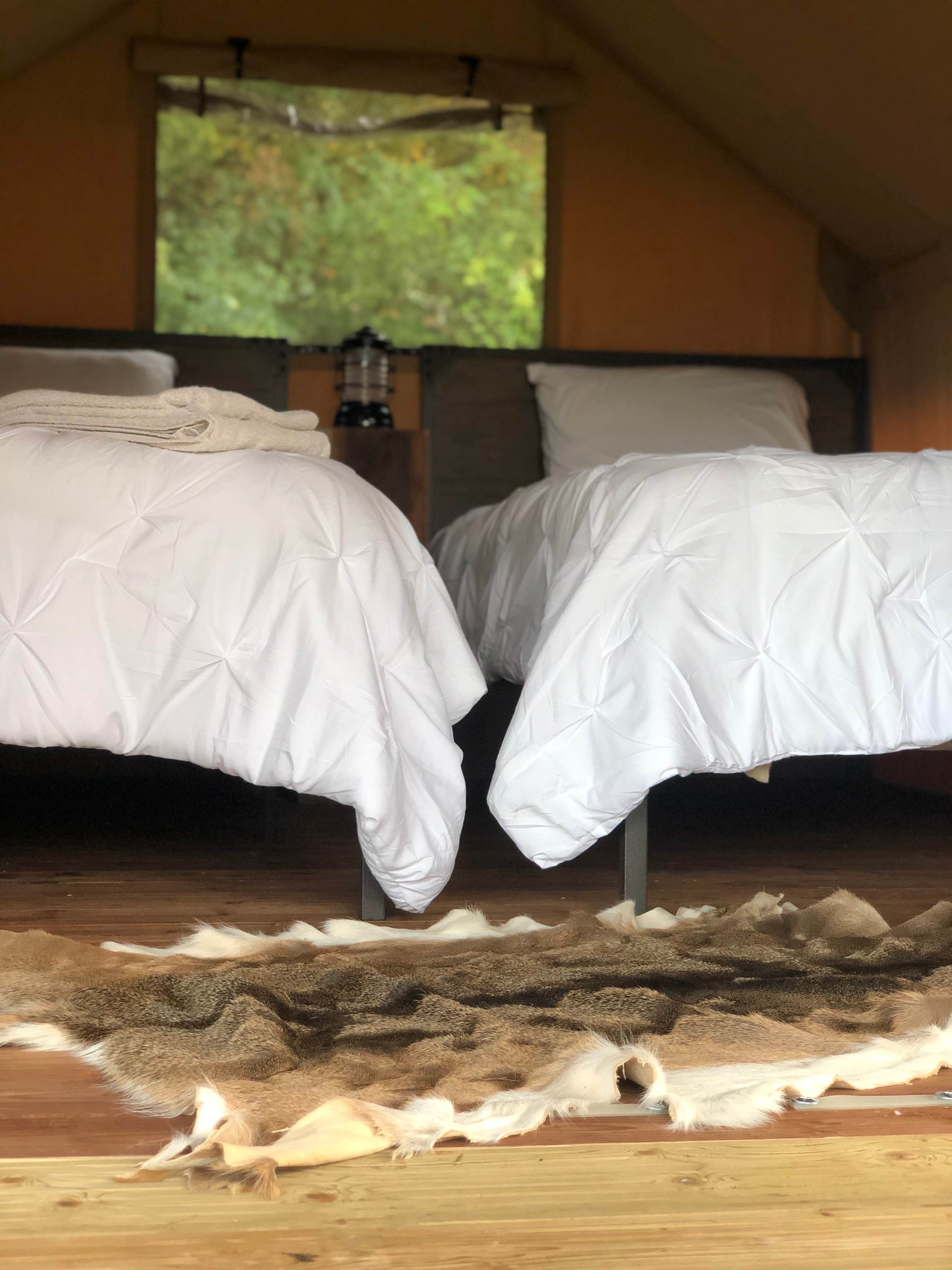 Lori H.'s photo of glamping accommodations at GlampKnox near Talbott, TN