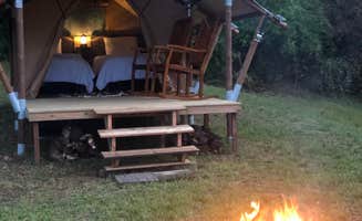 Lori H.'s photo at GlampKnox in Tennessee