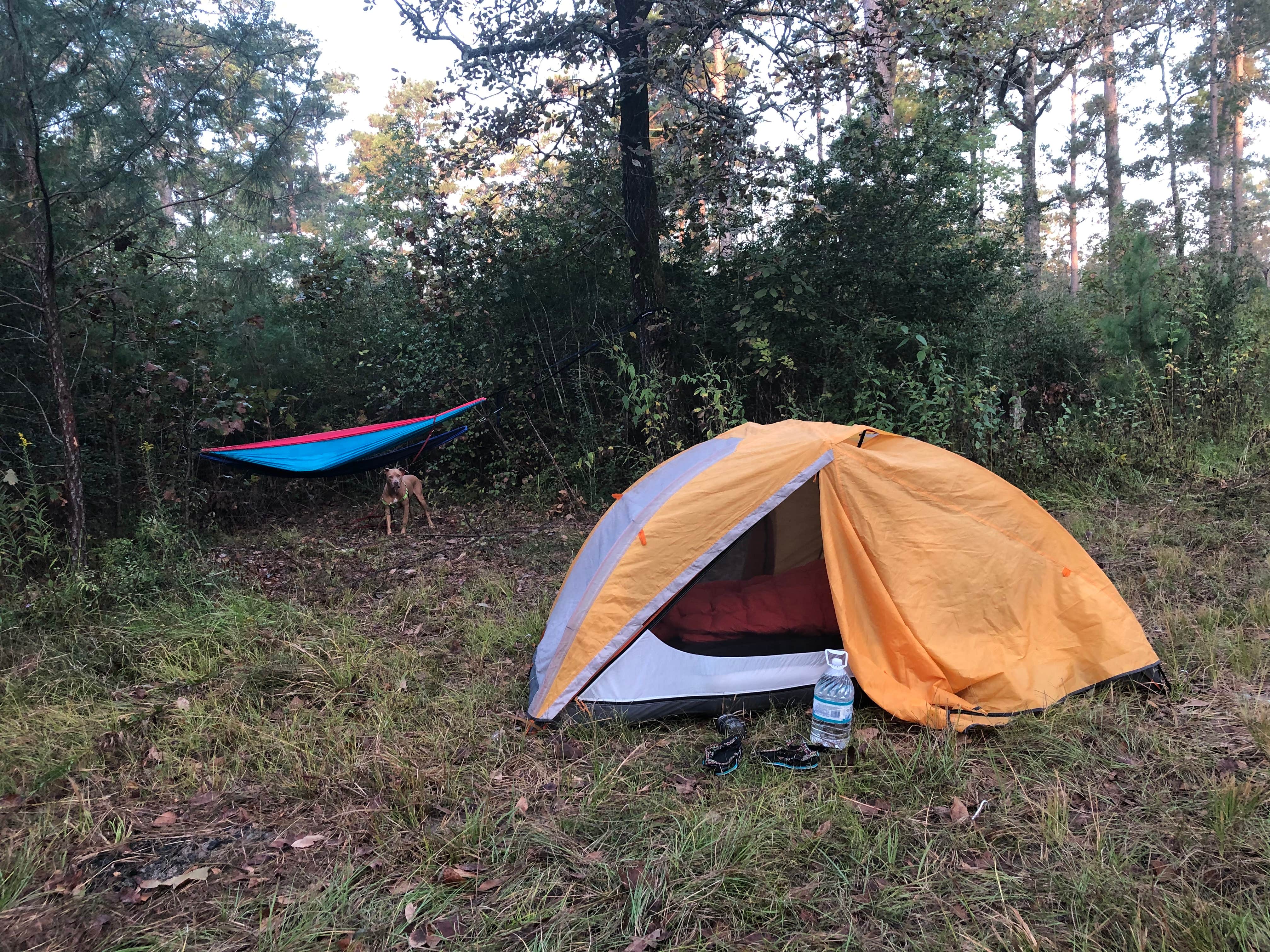 Alexandra's photo at Kelly's Pond Campground near Cedar Creek, TX