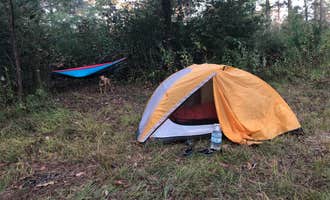 Camping near Lake Conroe-Houston North KOA: Kelly's Pond Campground, Montgomery, Texas