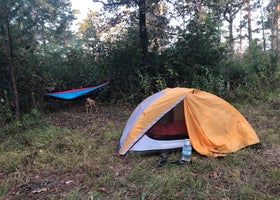 Kelly's Pond Campground: (936) 344-6205