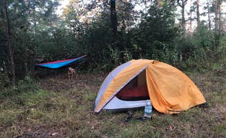 Alexandra's photo at Kelly's Pond Campground near New Waverly, TX