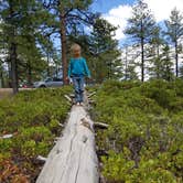 Review photo of North Campground — Bryce Canyon National Park by Kara S., May 27, 2018