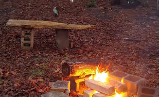 Marvin D.'s photo at Double L Farms Campground near Nichols, SC