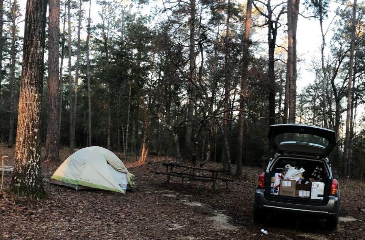 Camper-submitted photo at Flint Creek Waterpark near Beaumont, MS
