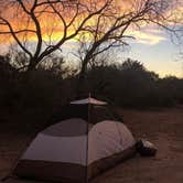 Review photo of South Llano River State Park Campground by Dan X., January 5, 2021