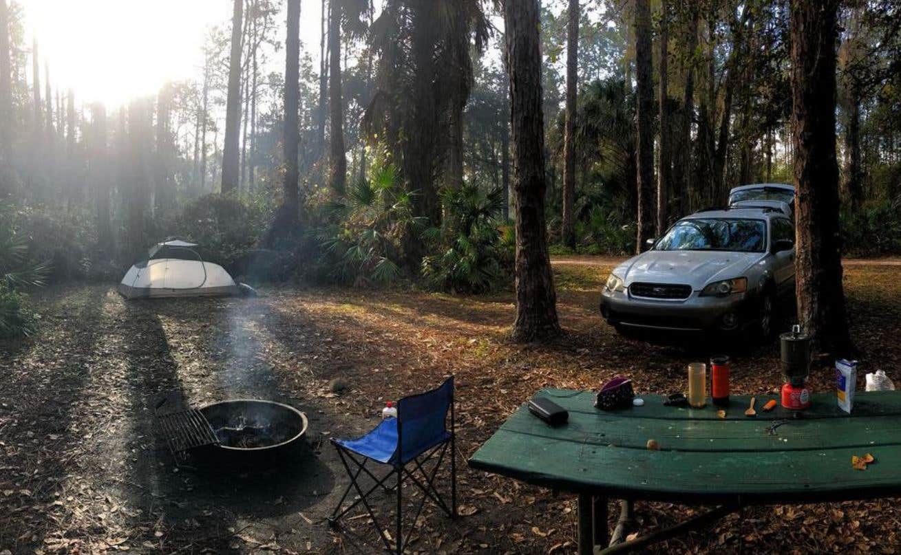 Dan X.'s photo at Rodman Campground near Hawthorne, FL