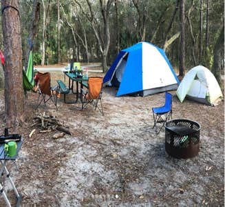 Camper-submitted photo from Paynes Prairie Preserve State Park Campground
