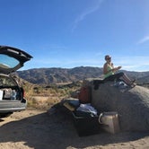 Review photo of Culp Valley Primitive Campground — Anza-Borrego Desert State Park by Dan X., January 5, 2021