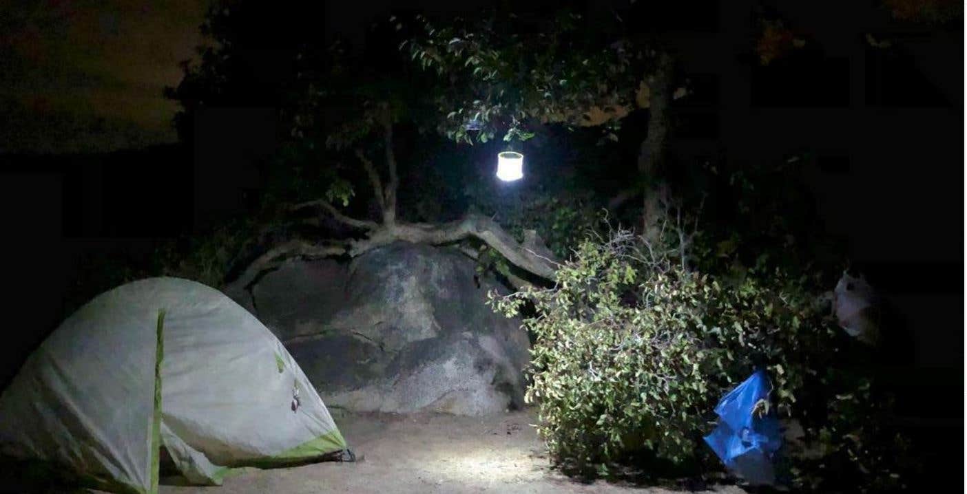 Camper-submitted photo at Culp Valley Primitive Campground — Anza-Borrego Desert State Park near San Ysidro, CA