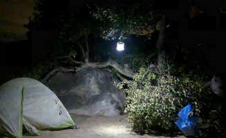 Dan X.'s photo at Culp Valley Primitive Campground — Anza-Borrego Desert State Park near Warner Springs, CA