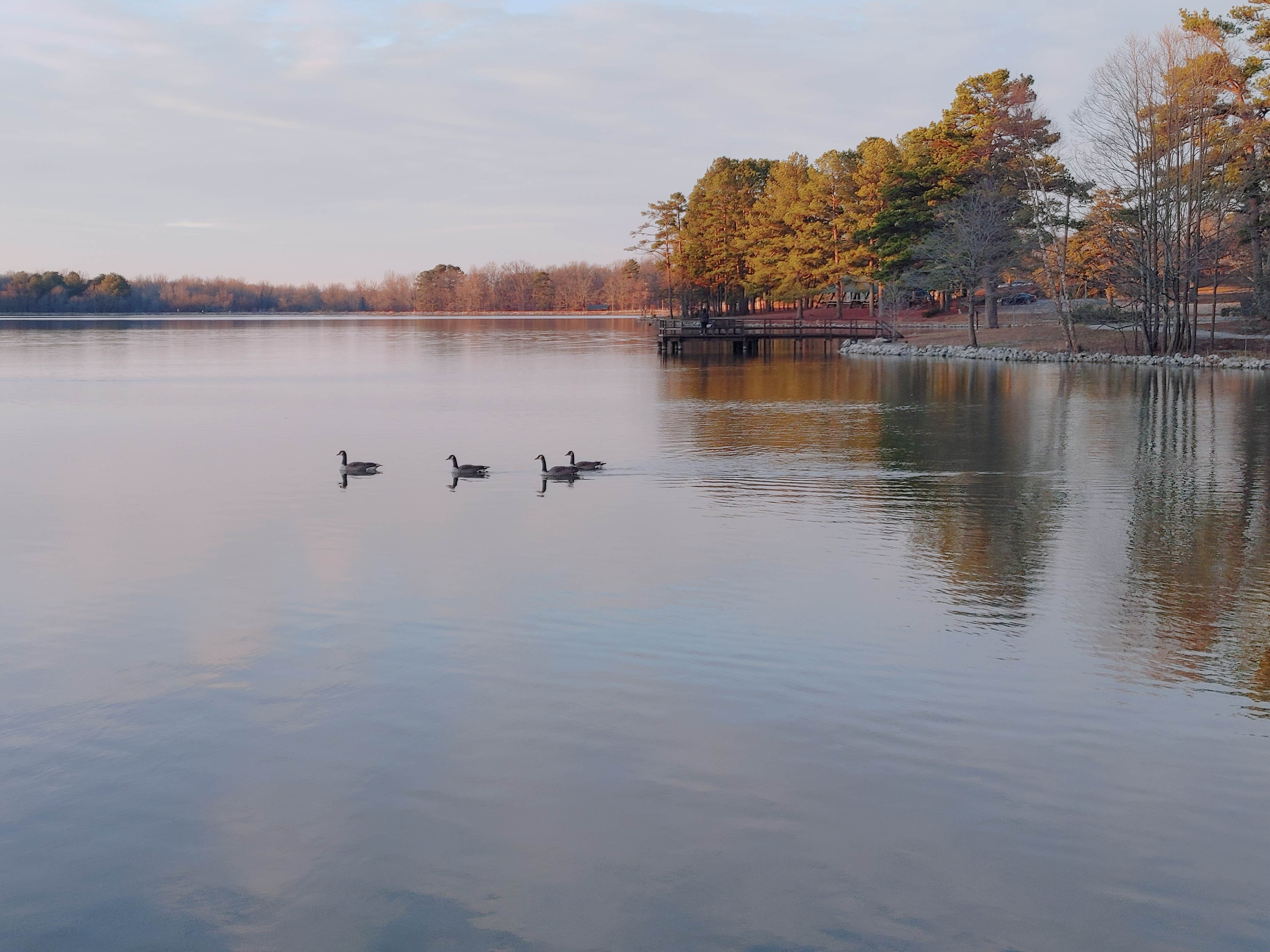 Camper submitted image from Craighead Forest Park - 1