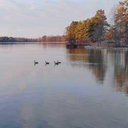 Craighead Forest Park