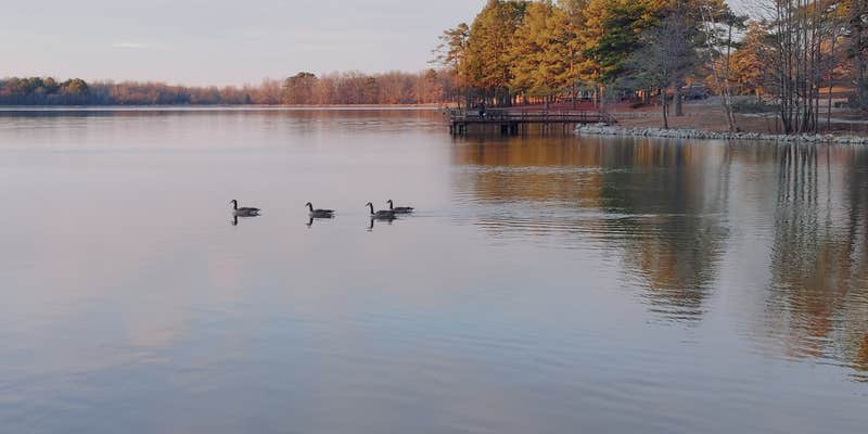 Camper submitted image from Craighead Forest Park